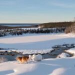 Découvrez la beauté de la Nouvelle-Écosse en hiver